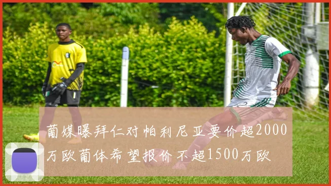 葡媒曝拜仁对帕利尼亚要价超2000万欧葡体希望报价不超1500万欧