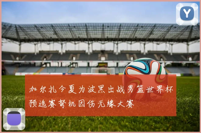 加尔扎今夏为波黑出战男篮世界杯预选赛弩机因伤无缘大赛