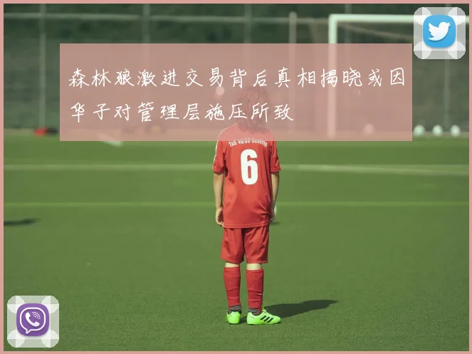 森林狼激进交易背后真相揭晓或因华子对管理层施压所致