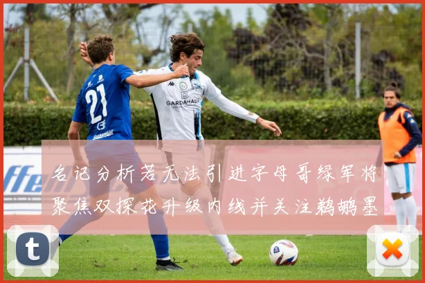 名记分析若无法引进字母哥绿军将聚焦双探花升级内线并关注鹈鹕墨菲